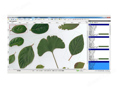  DJ-S叶面积分析系统